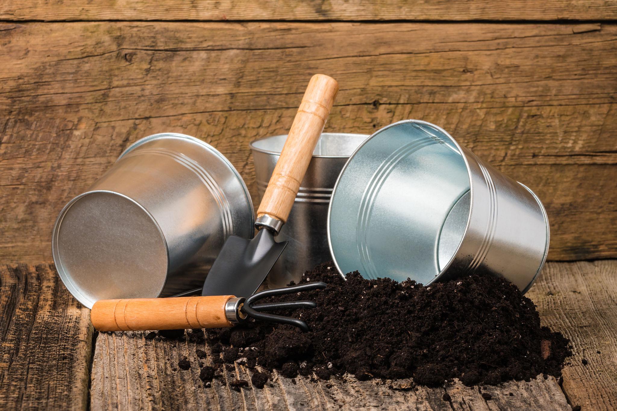 Organic Potting Mix