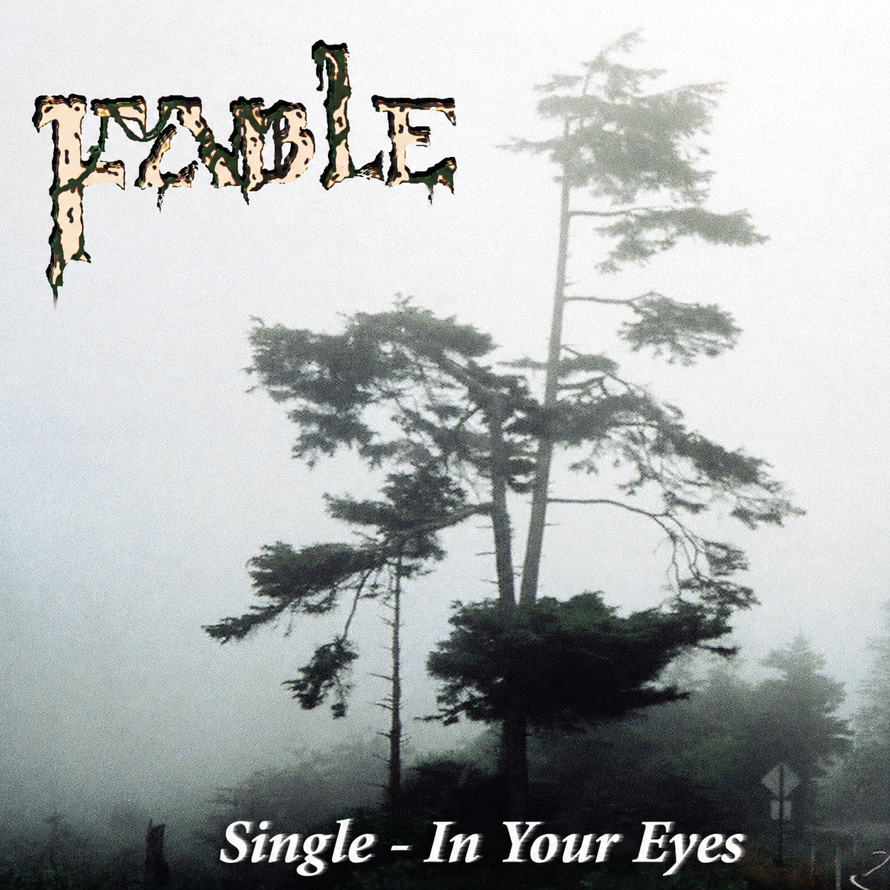 In Your Eyes