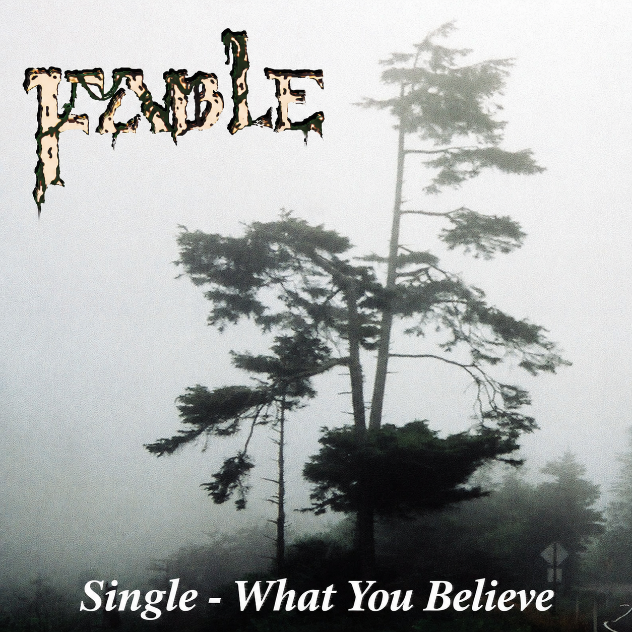 What You Believe