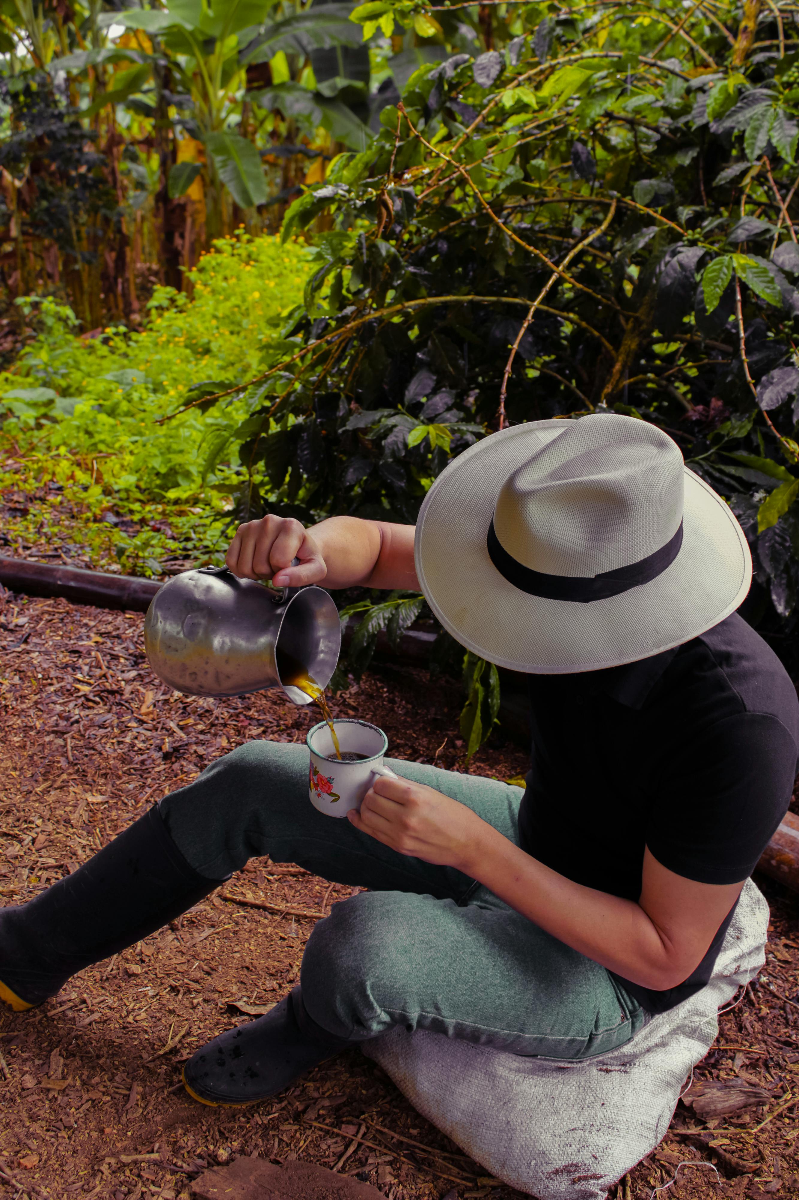 The Art of Coffee: A Hands-On Plantation Experience