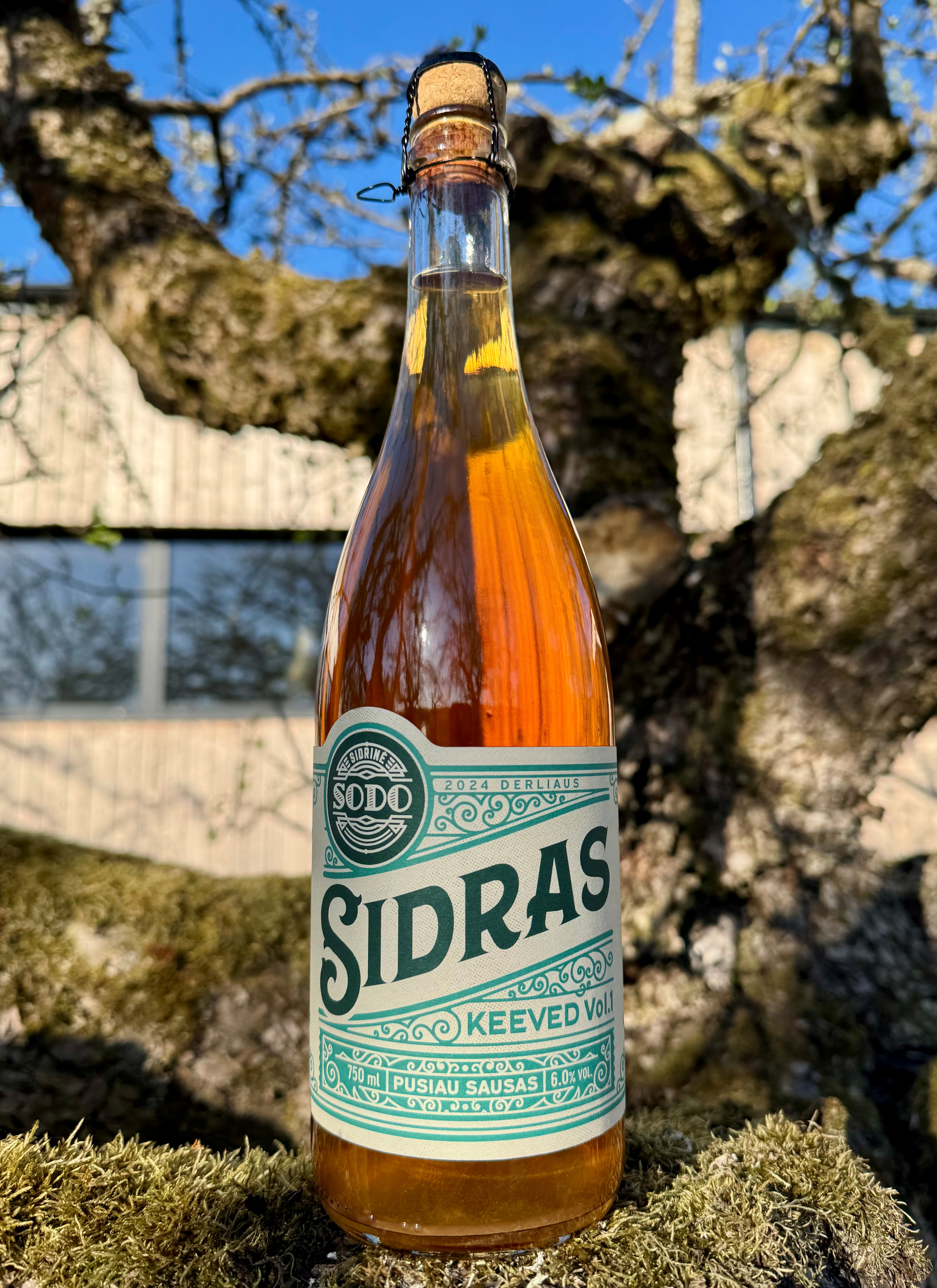 Sidras Keeved vol.1