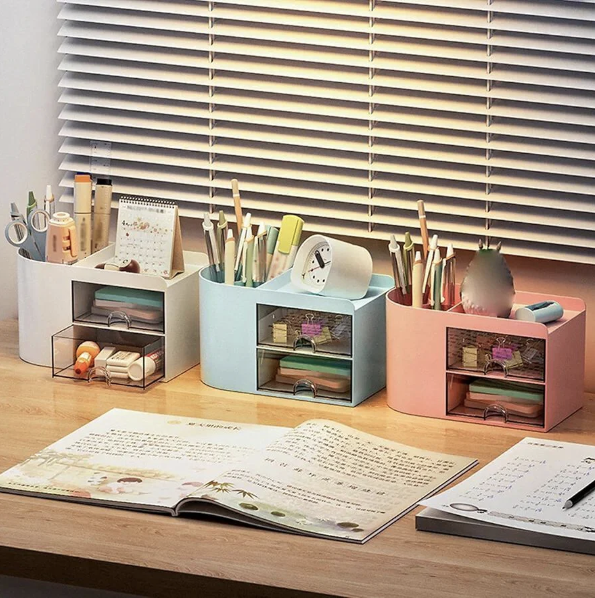 Multi-Compartment Desk Organizer