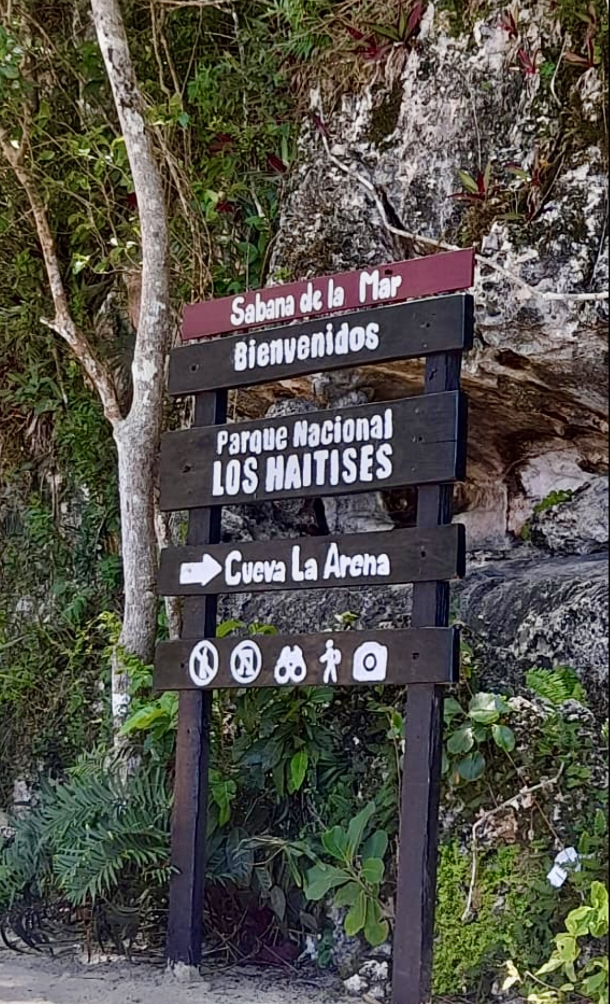 Los Haitises