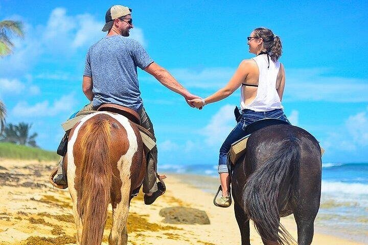 Paseo en Caballo