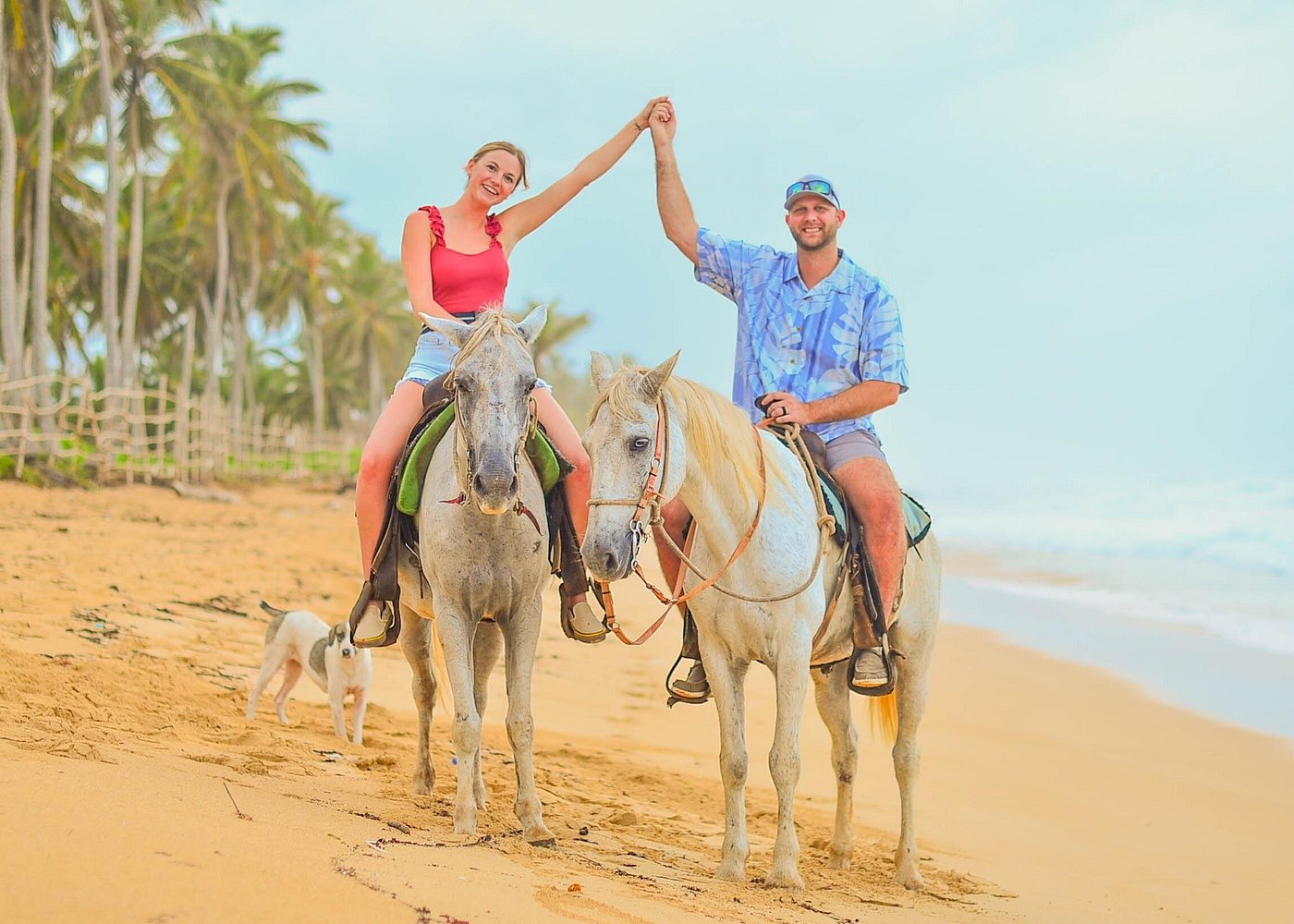 Paseo en Caballo