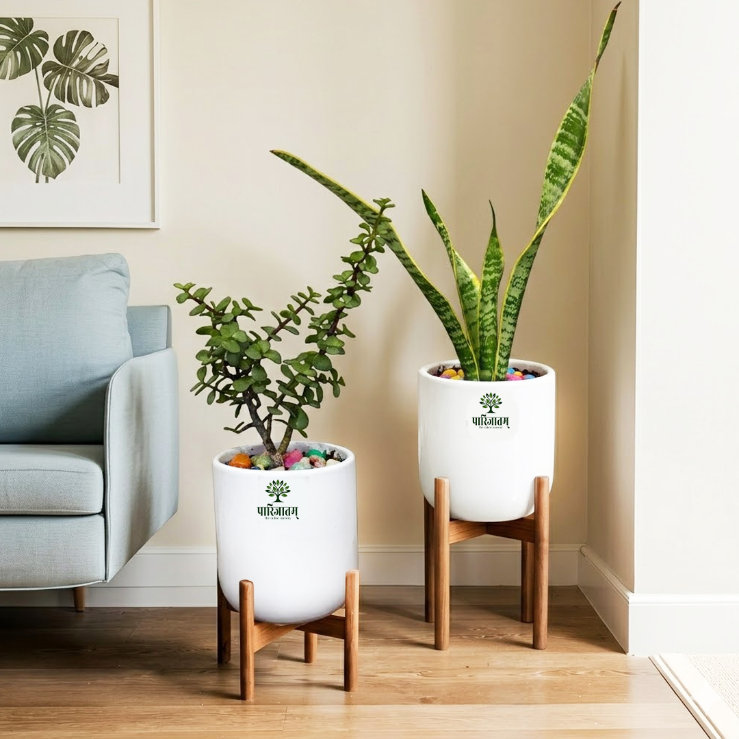 Ceramic Planter with Wooden Stand