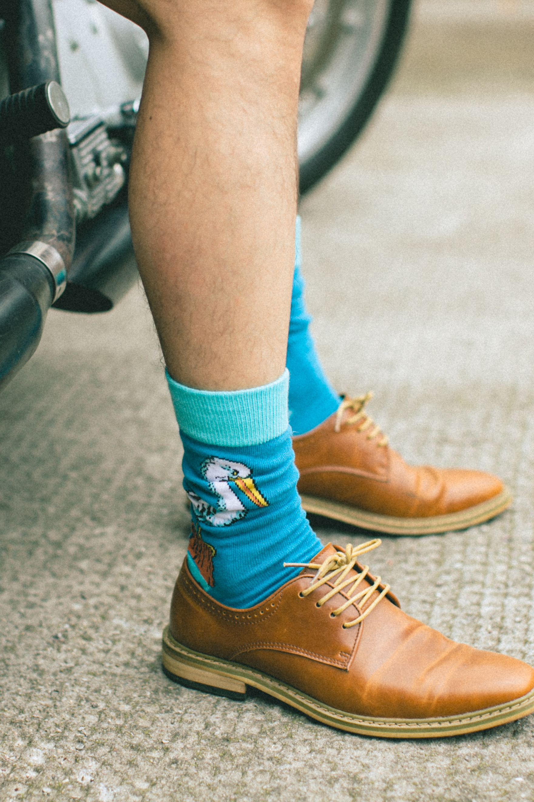 Pelican Print Socks