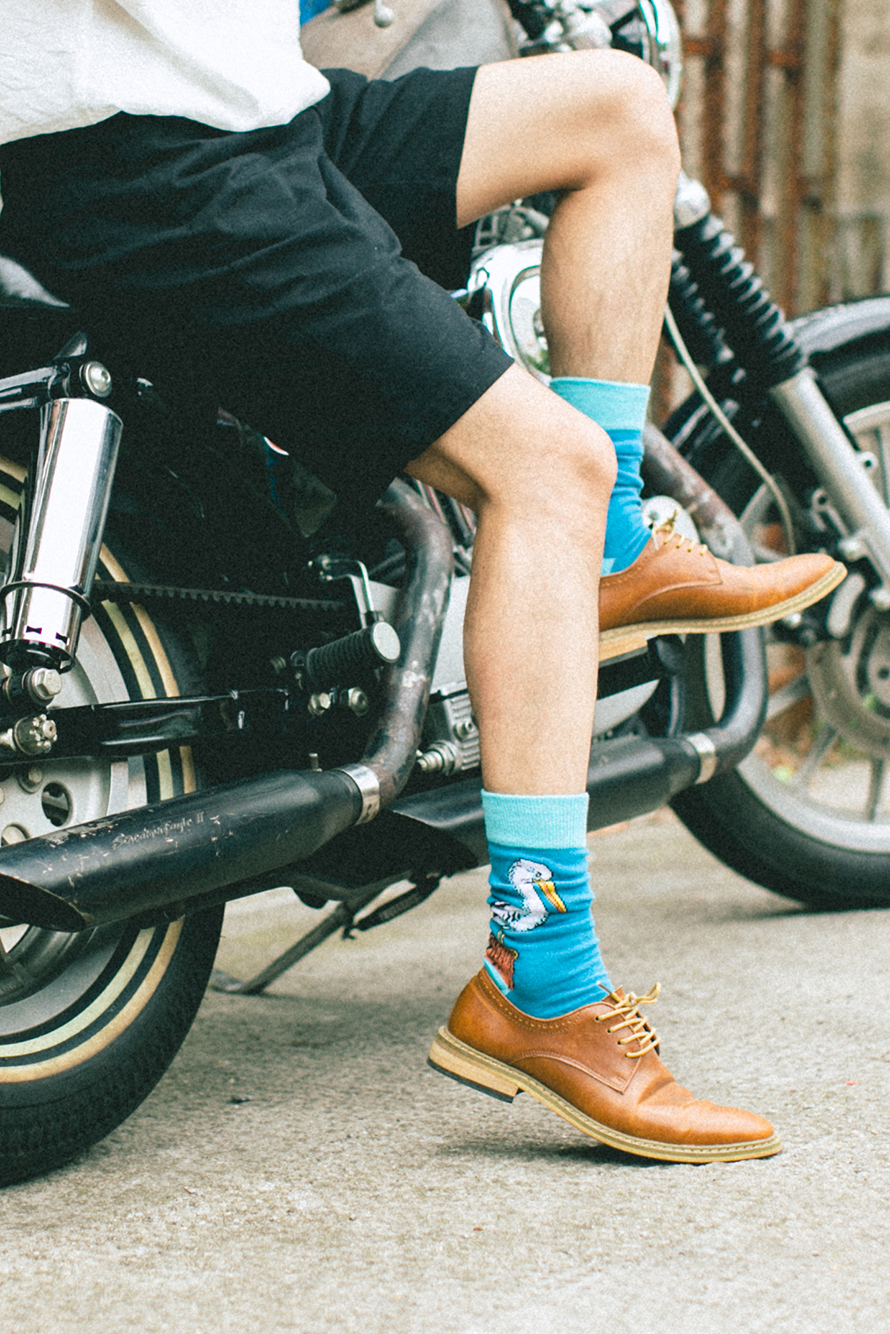 Pelican Print Socks