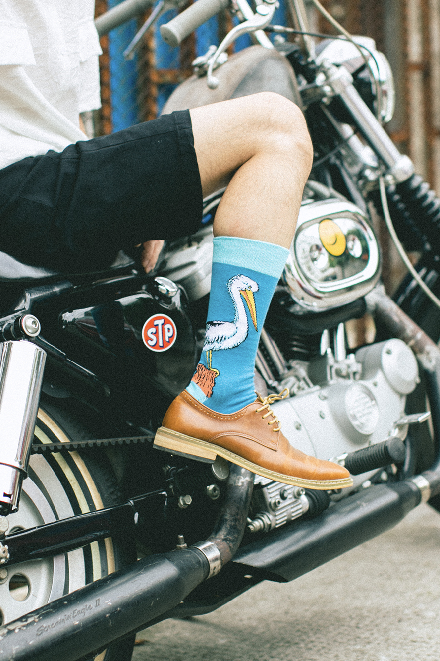 Pelican Print Socks