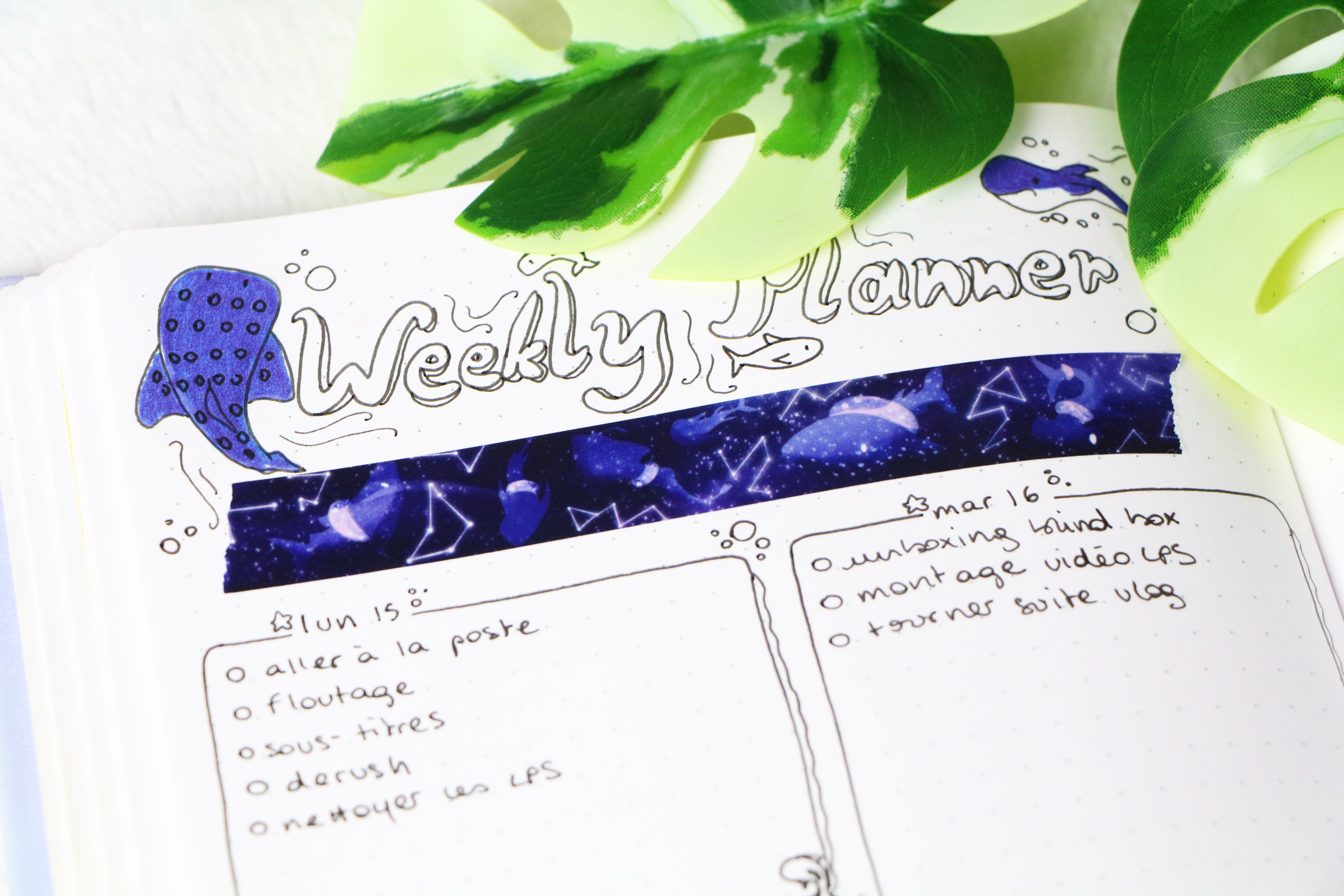 Washi Tape - Baleine Stellaire