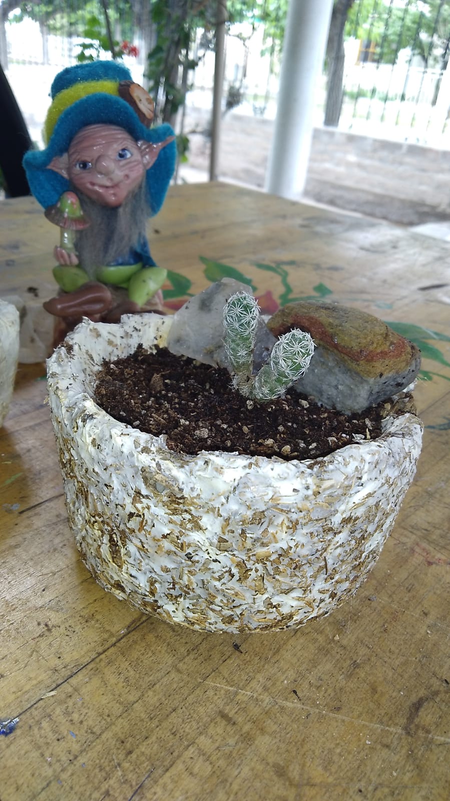 Maceta ecológica de micelio