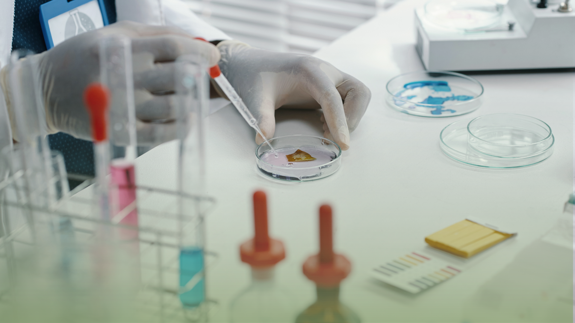 Method Validation and Verification