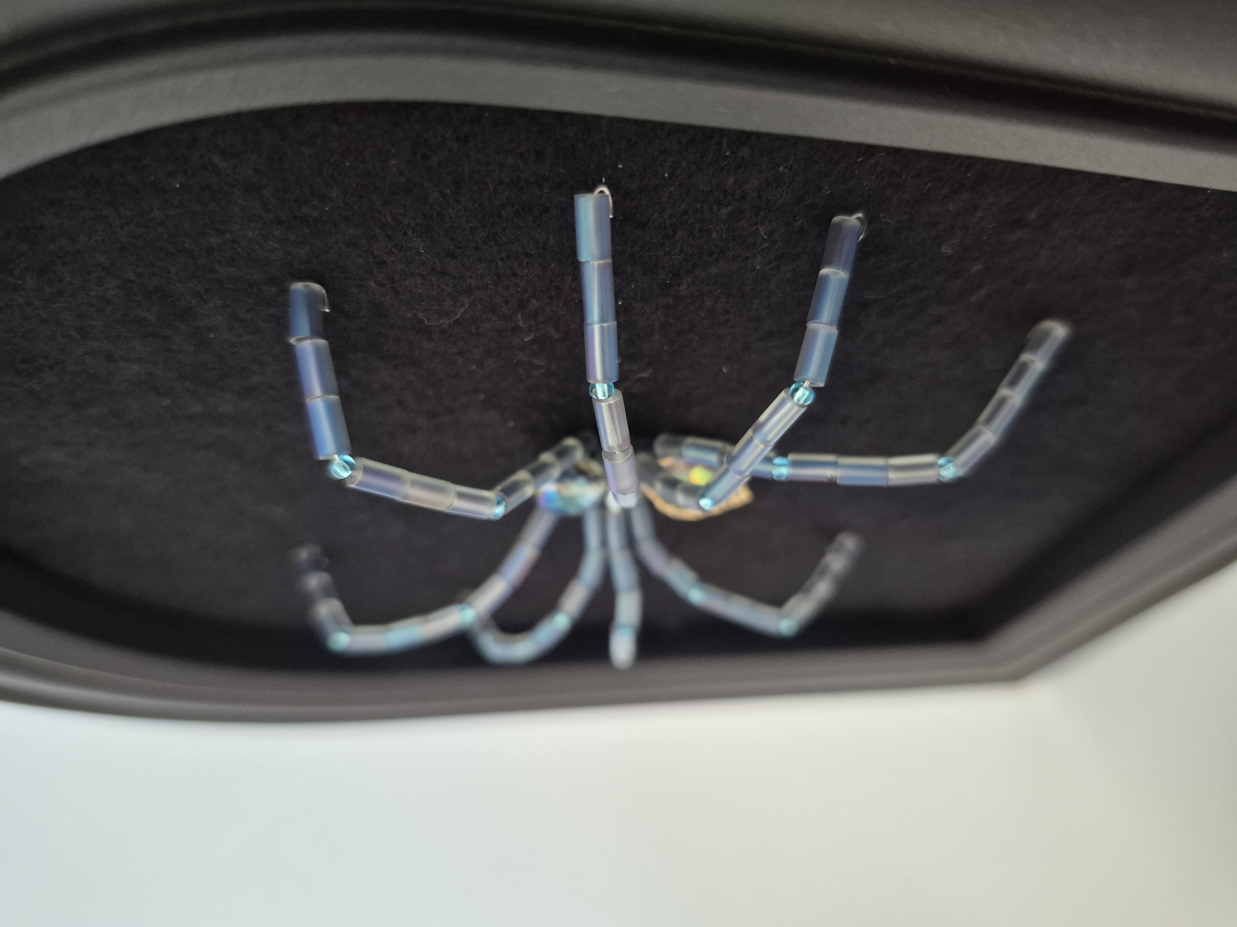Nico the spider