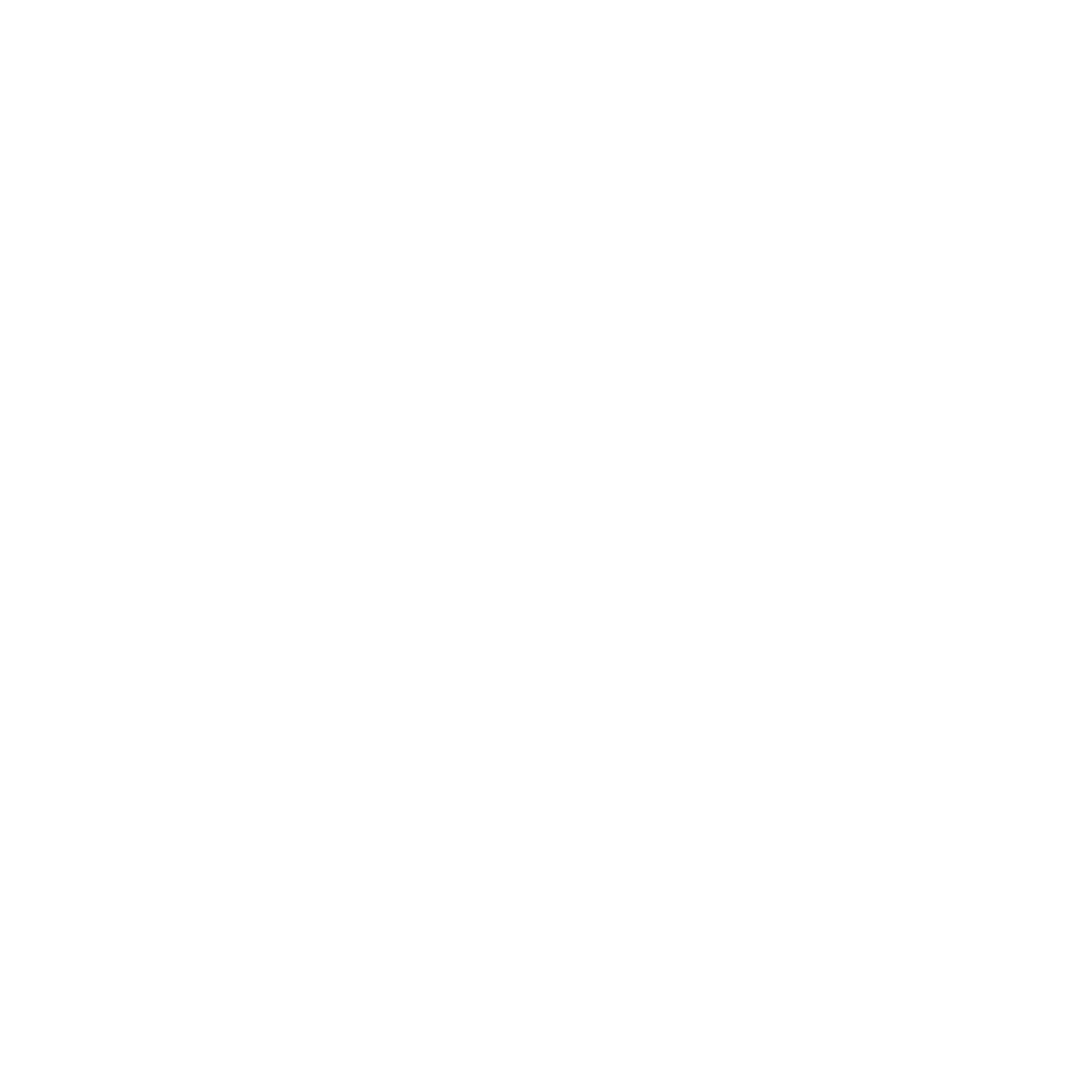 CAMISETA APOCALIPSE