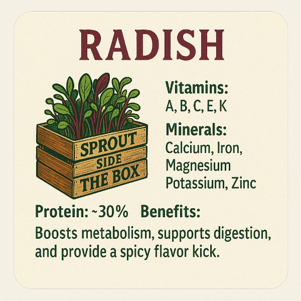 Rambo Radish- 2 oz
