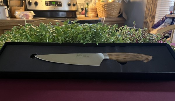 Cilantro- 1 oz
