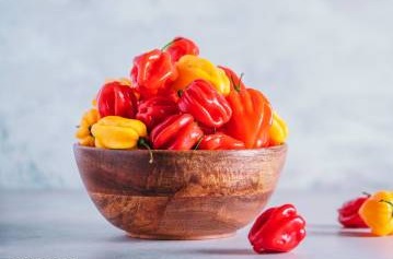Scotch Bonnet