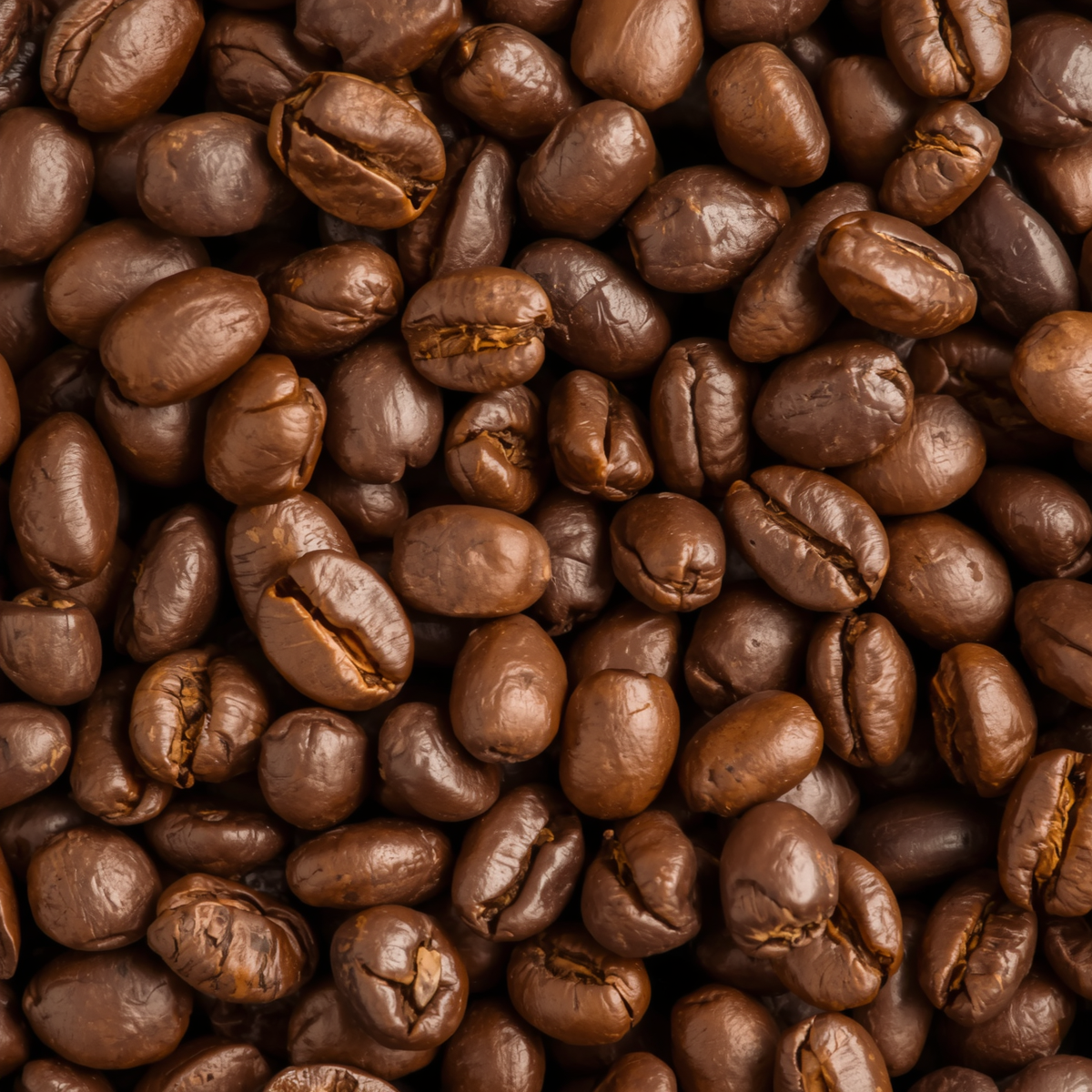 Africa Rwanda Karambi coffee bean, Mid-roasted