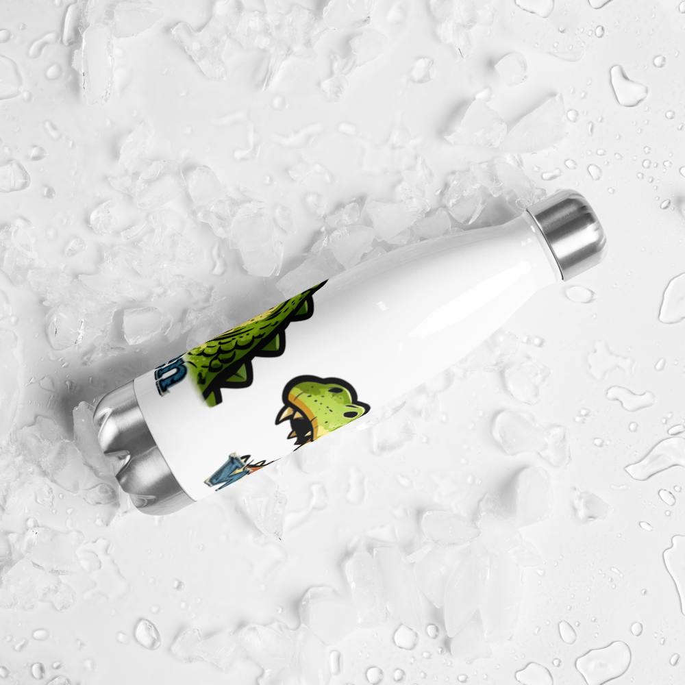Stainless steel water bottle