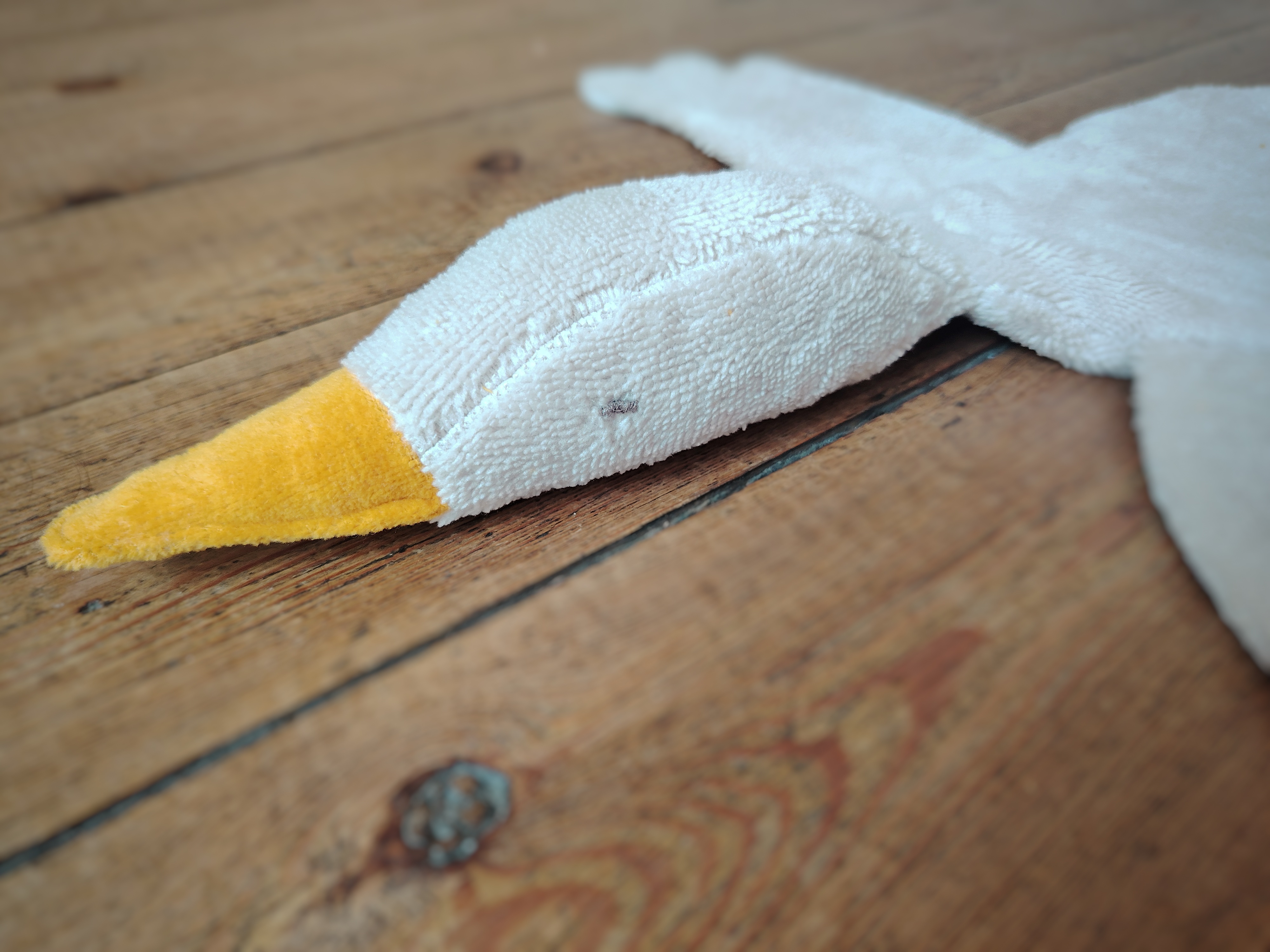 Doudou Miella l'oie cendrée