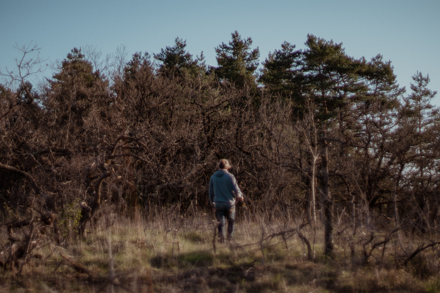 Ballade en forêt, initié par Oli, 2h