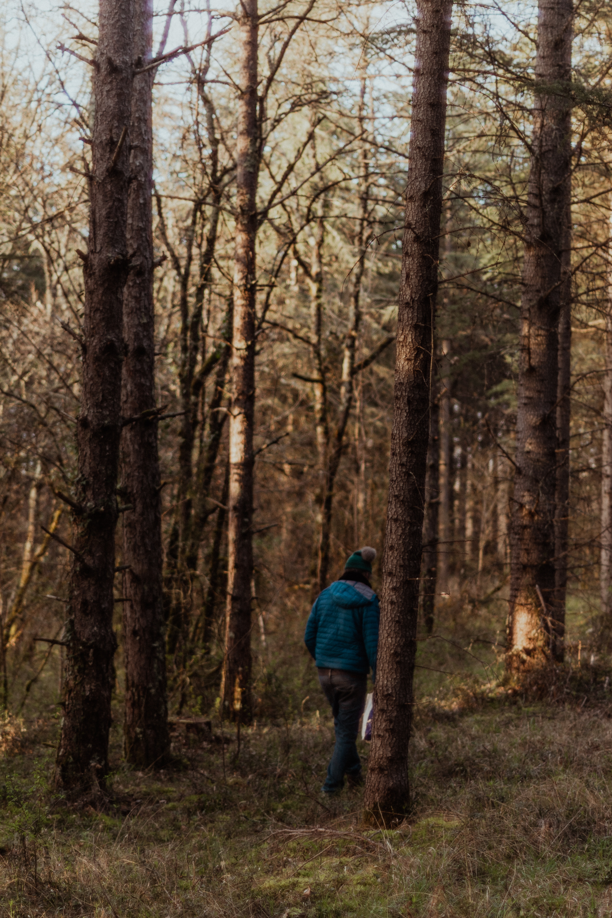 Ballade en forêt, initié par Oli, 2h