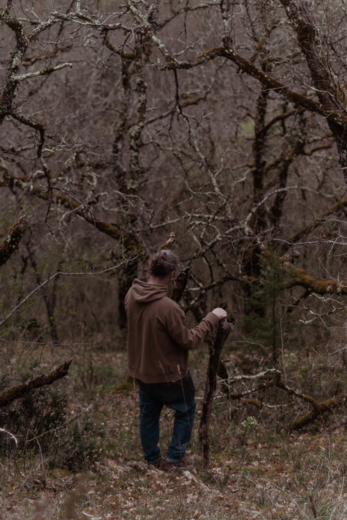 Ballade en forêt, initié par Oli, 2h