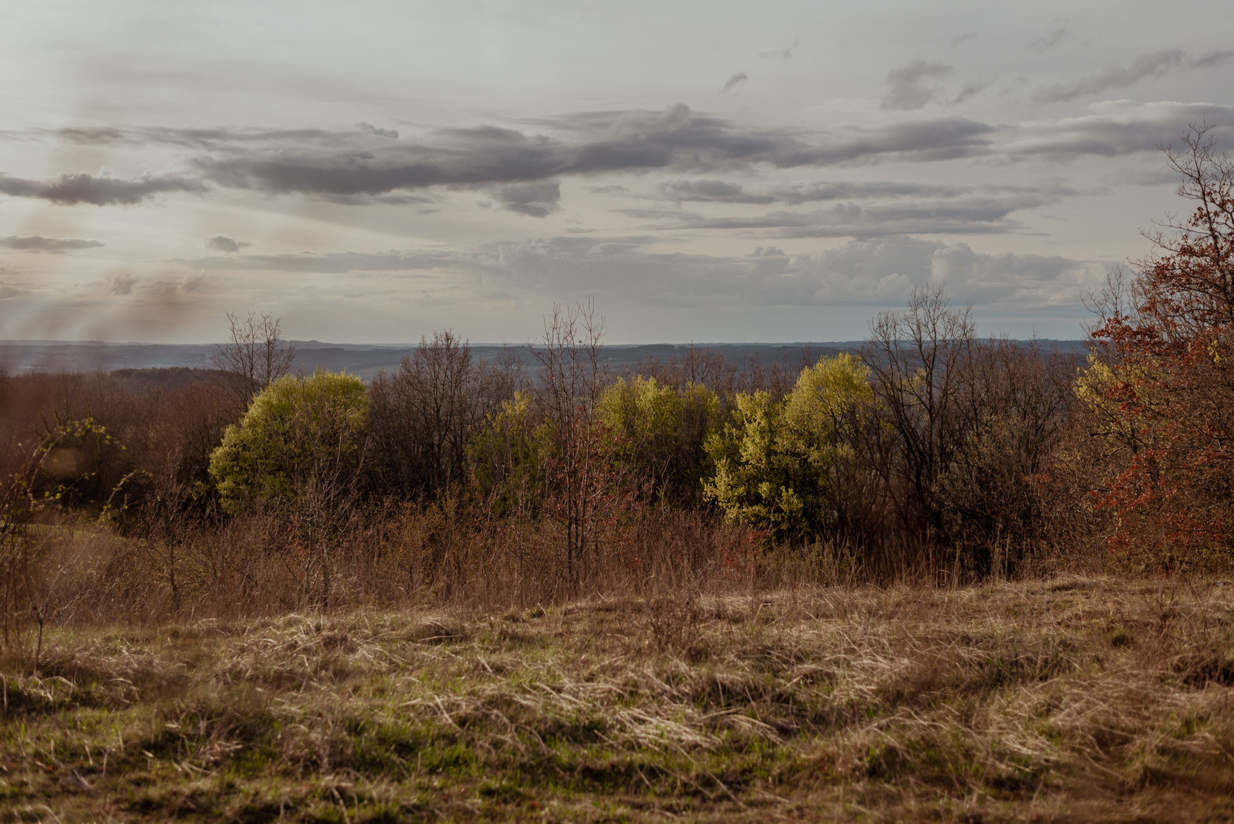 Bain de forêt, initié par Oli, 3 h