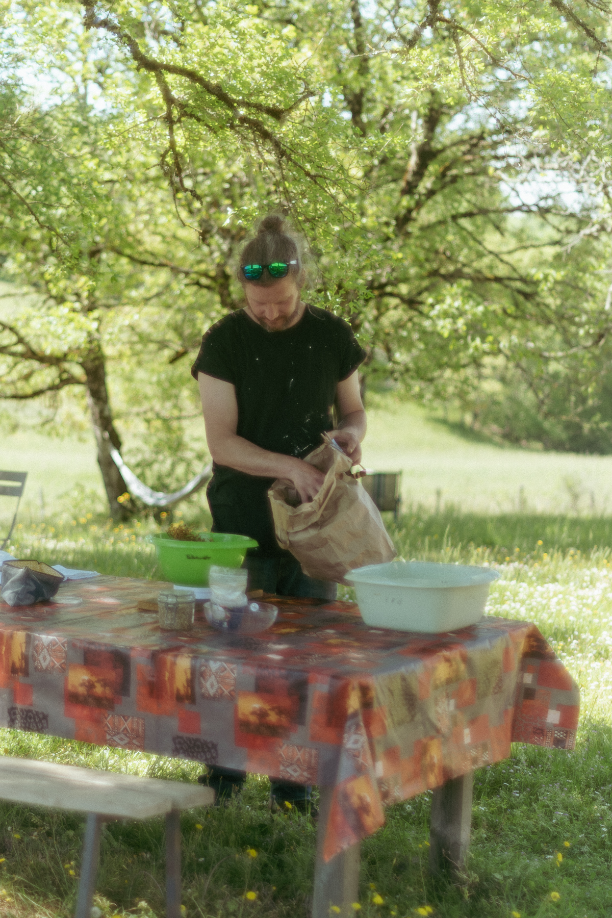 Atelier teinture végétale