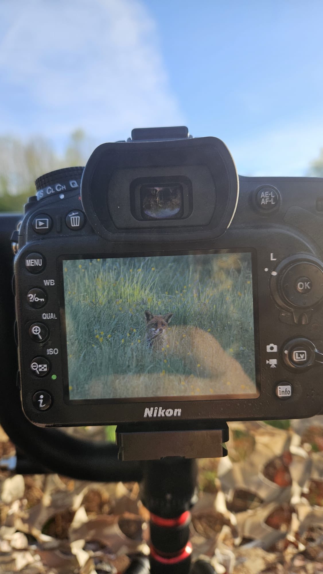 Atelier Photo animalière, initié par Omar, 8h