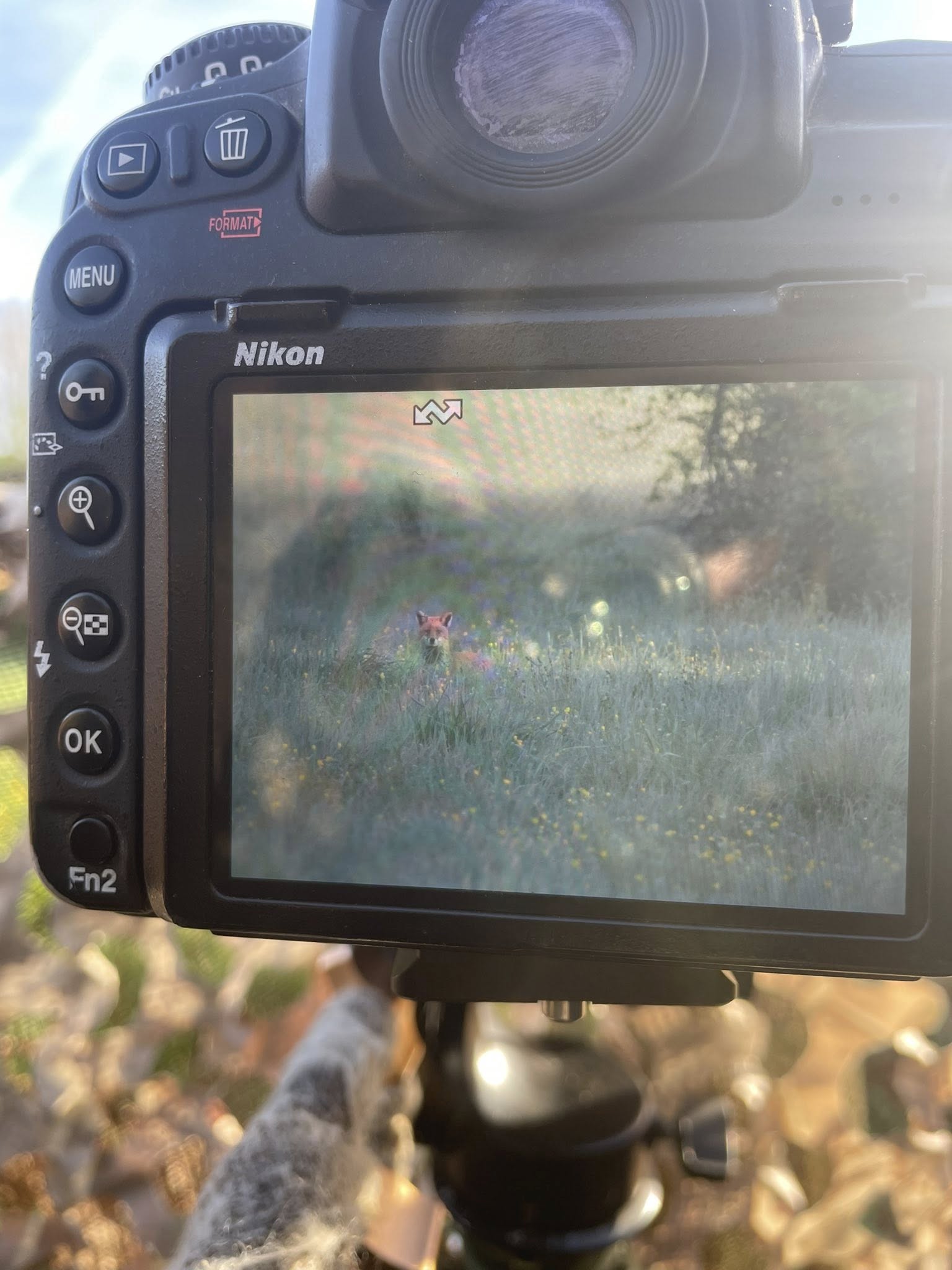 Atelier Photo animalière, initié par Omar, 8h