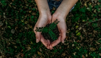 CURSO DE DETETIVE AGENTE DO MEIO AMBIENTE
