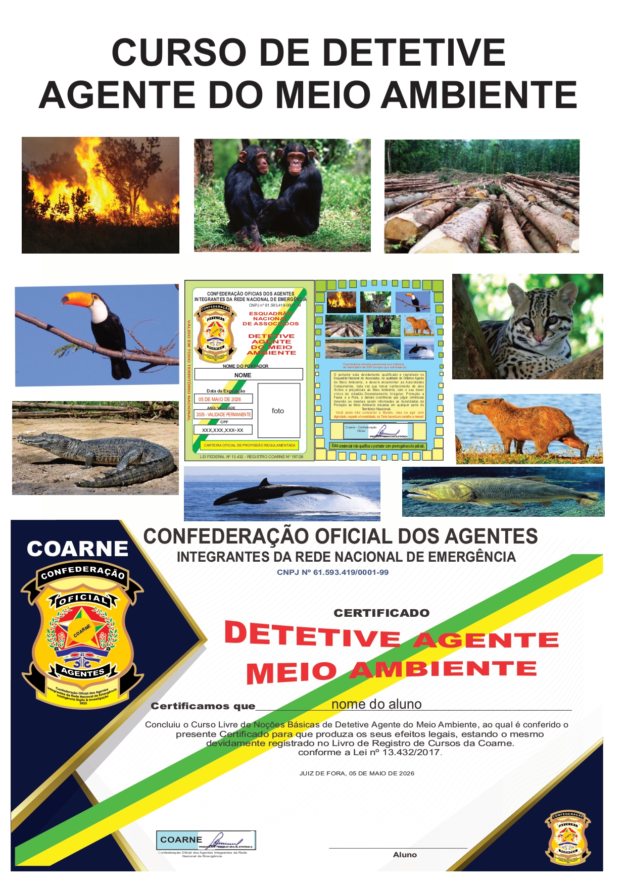 CURSO DE DETETIVE AGENTE DO MEIO AMBIENTE