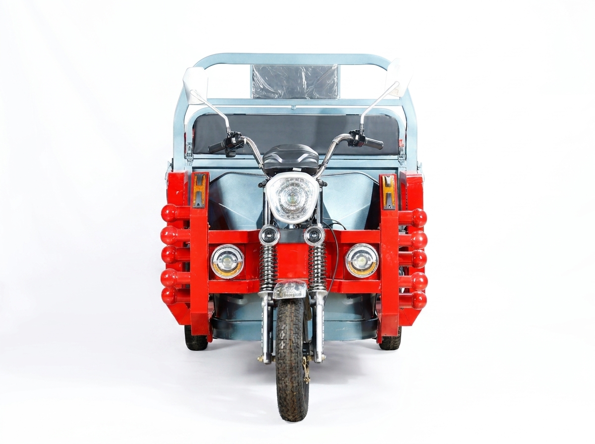 VERTEX Zhanshen EEC Cargo E-Trike (Disc Brake & Aluminum Rim)