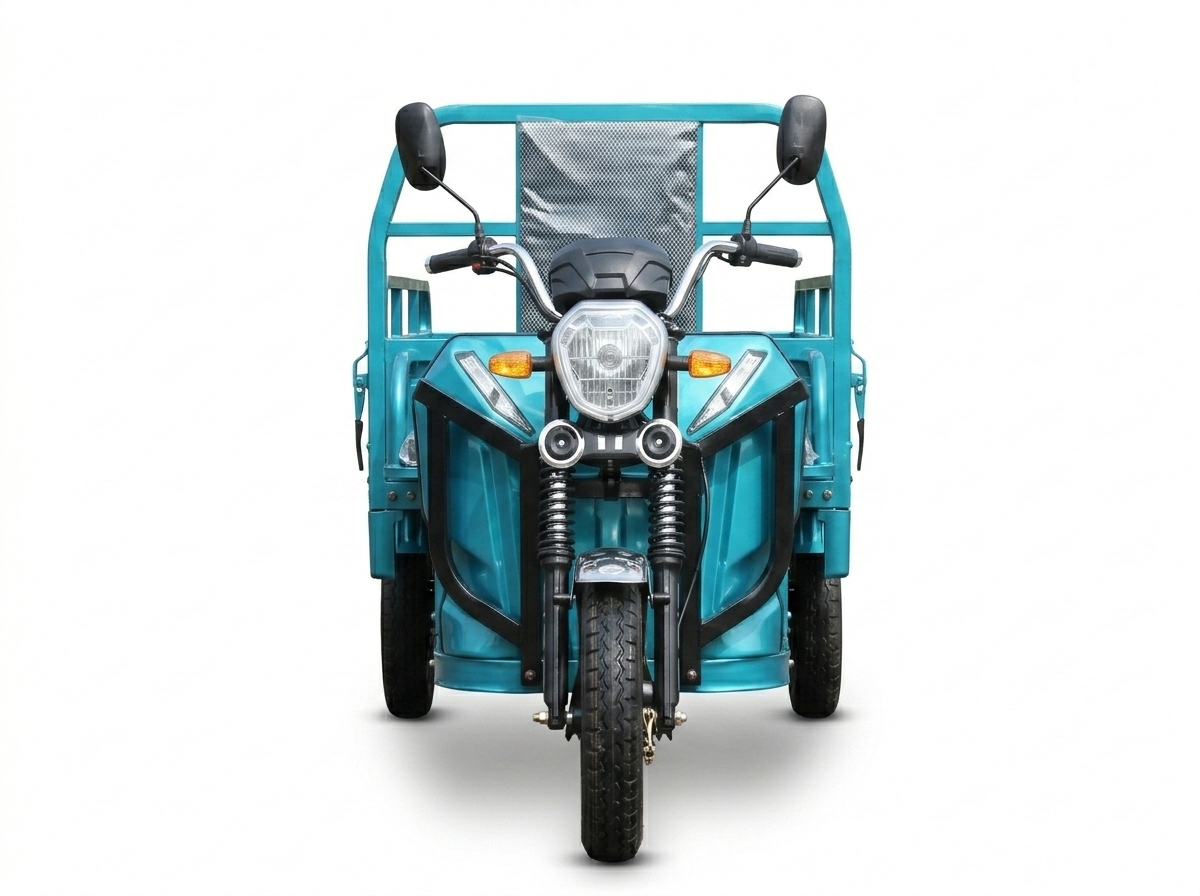 VERTEX Jieda Heavy-Duty Cargo E-Trike (Customizable)