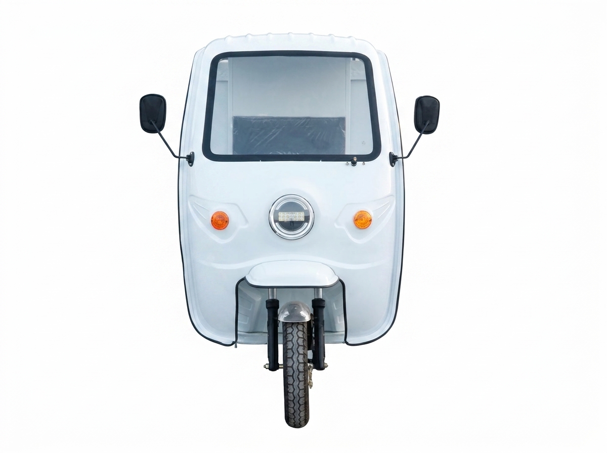 VERTEX Enclosed Delivery Box E-Trike (1000W Last-Mile Logistics)