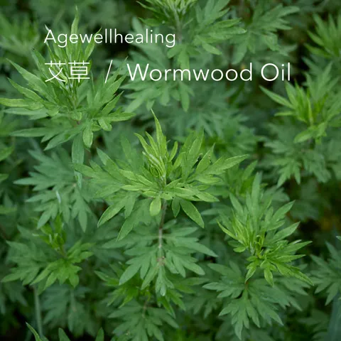 agewellhealing 艾草精油 / 10ml