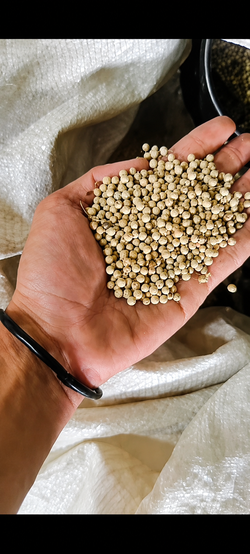 Whole White Peppercorns