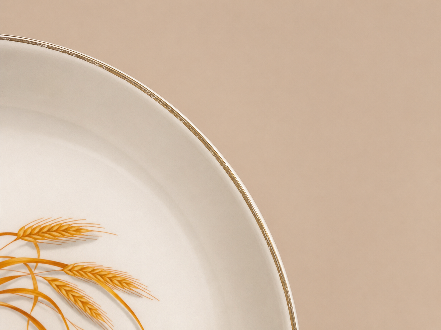 Wheat Pattern Ceramic Plates Set