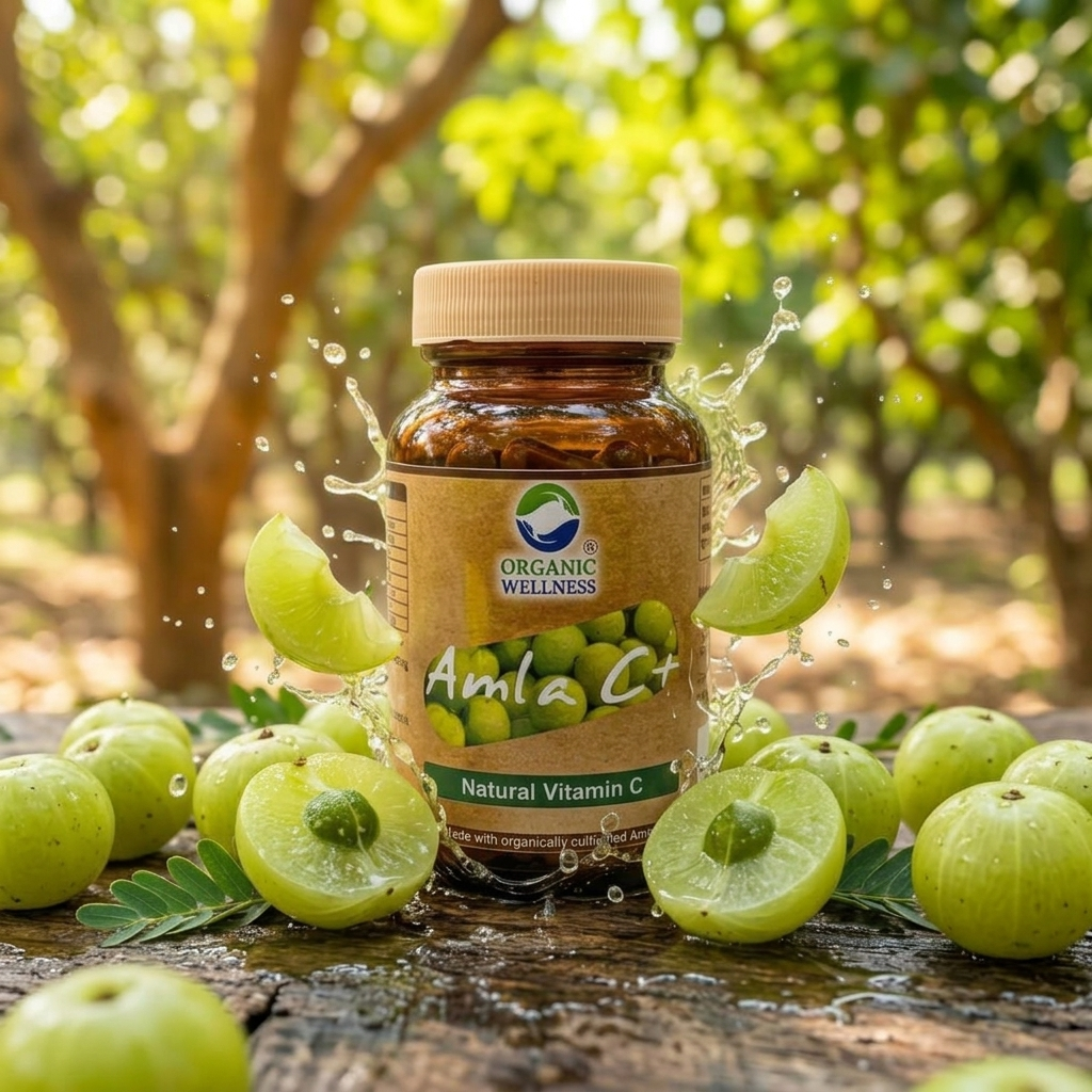 Organic Wellness Amla C+ Plant-Based Dietary Supplement (90 Veg Caps)