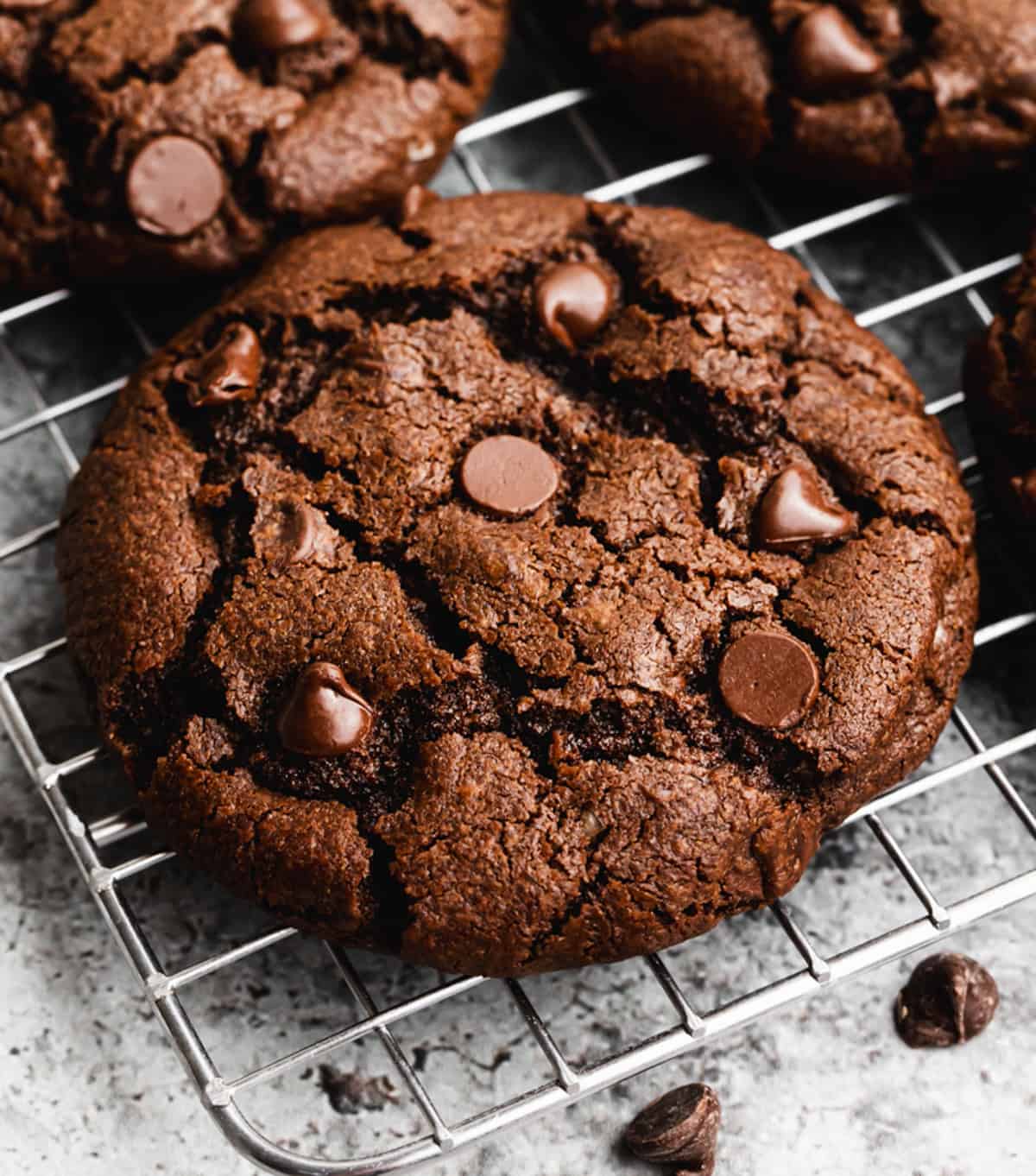 Chocolate Choco Chip Cookie