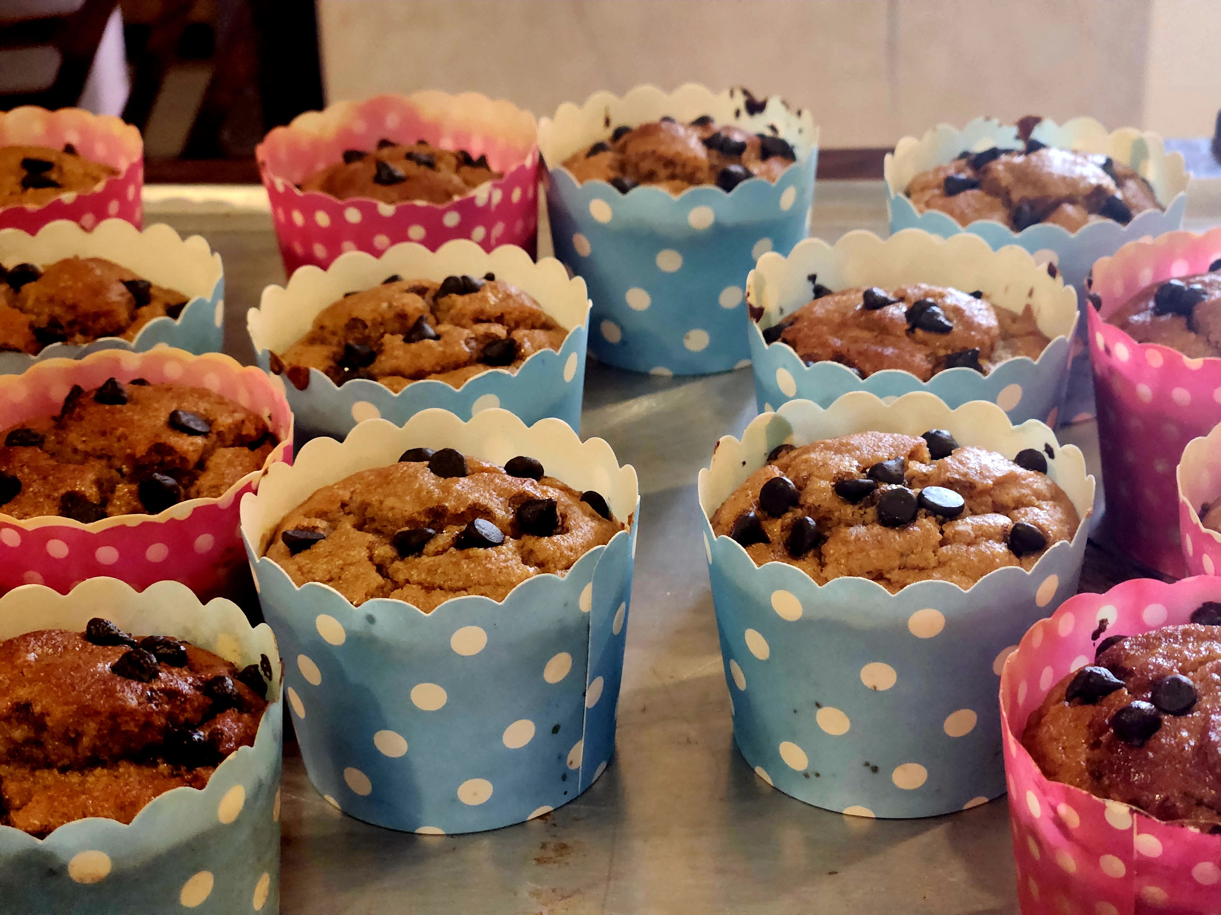 Small Chocolate Choco Chip Muffins