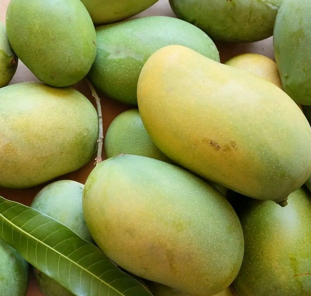 Mallika Mango