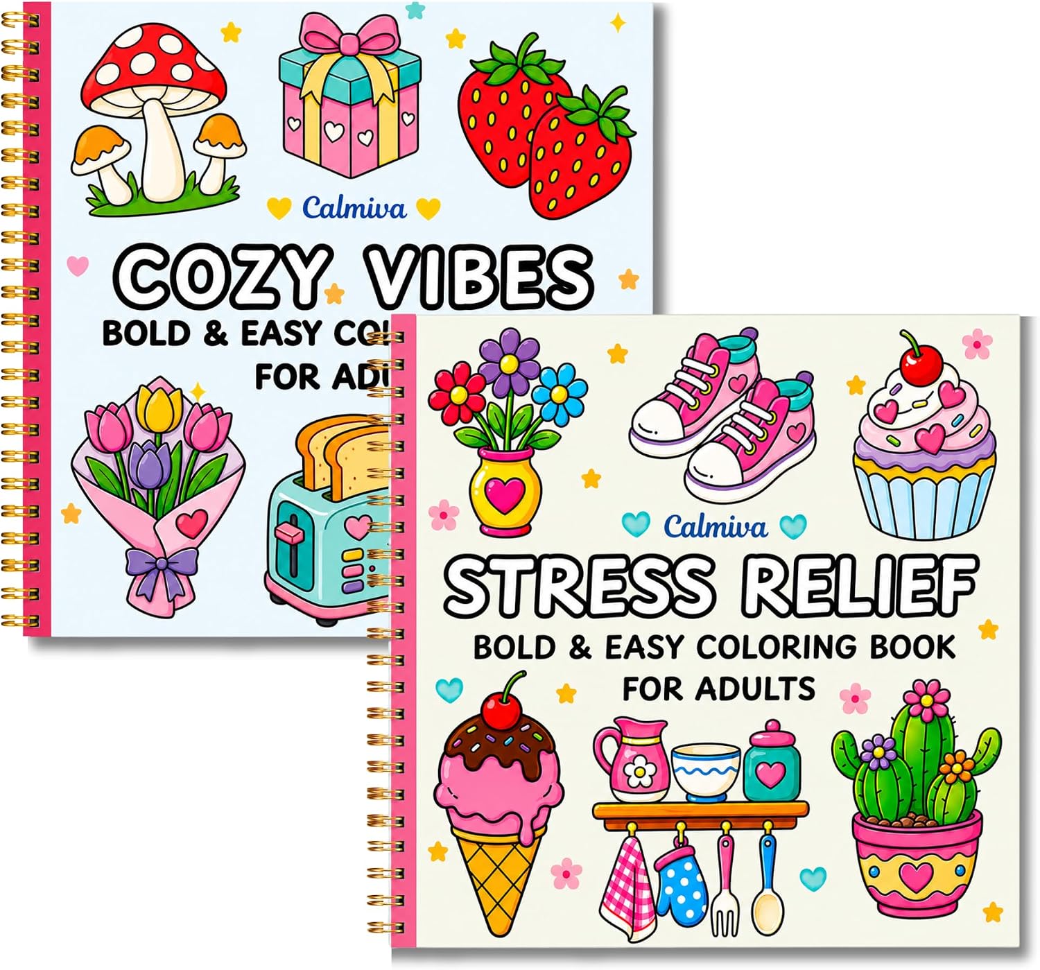 Bold & Easy Coloring Book Set