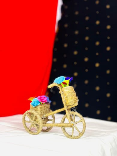 Jute Cycle