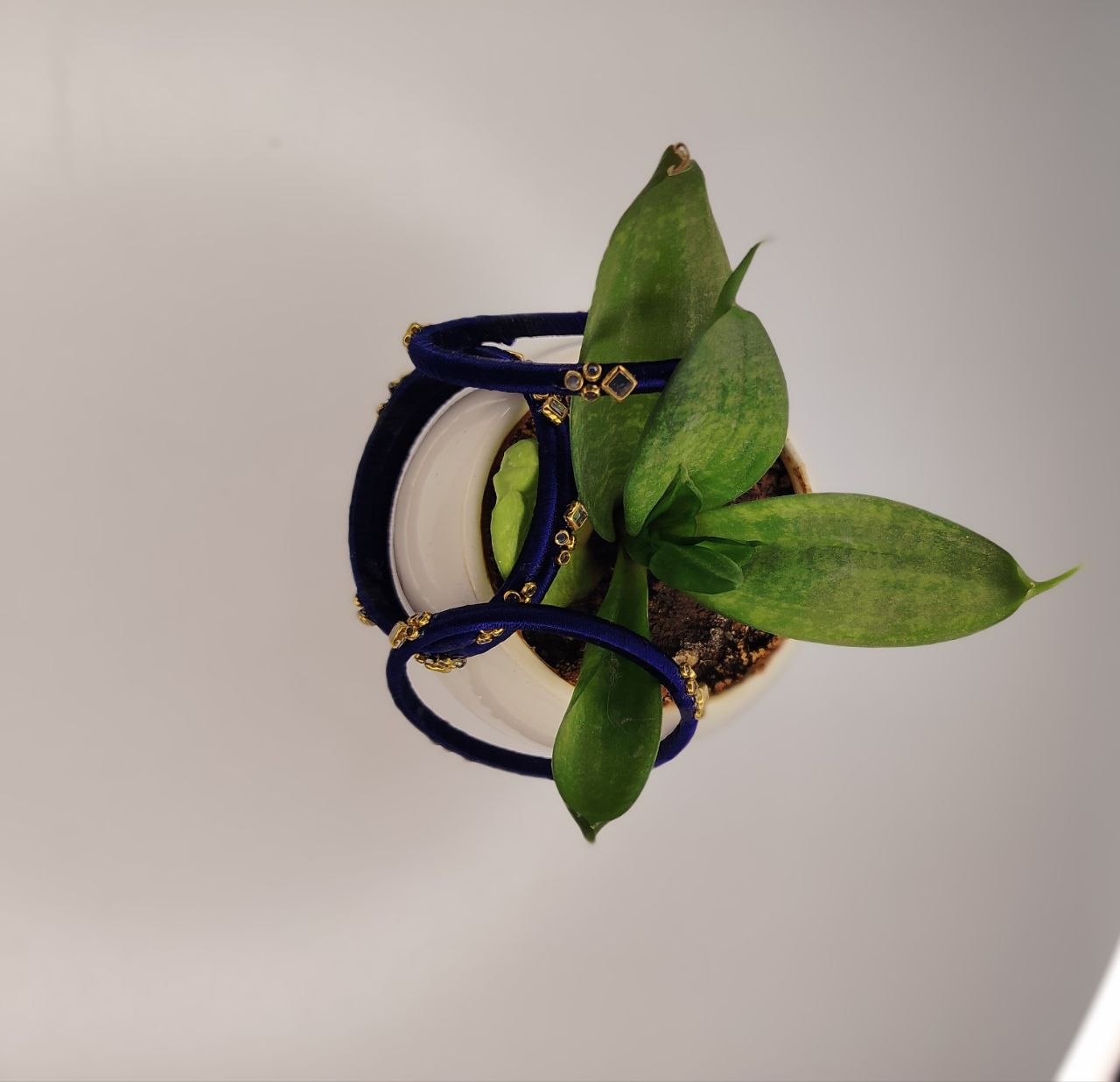 Four Set Bangles