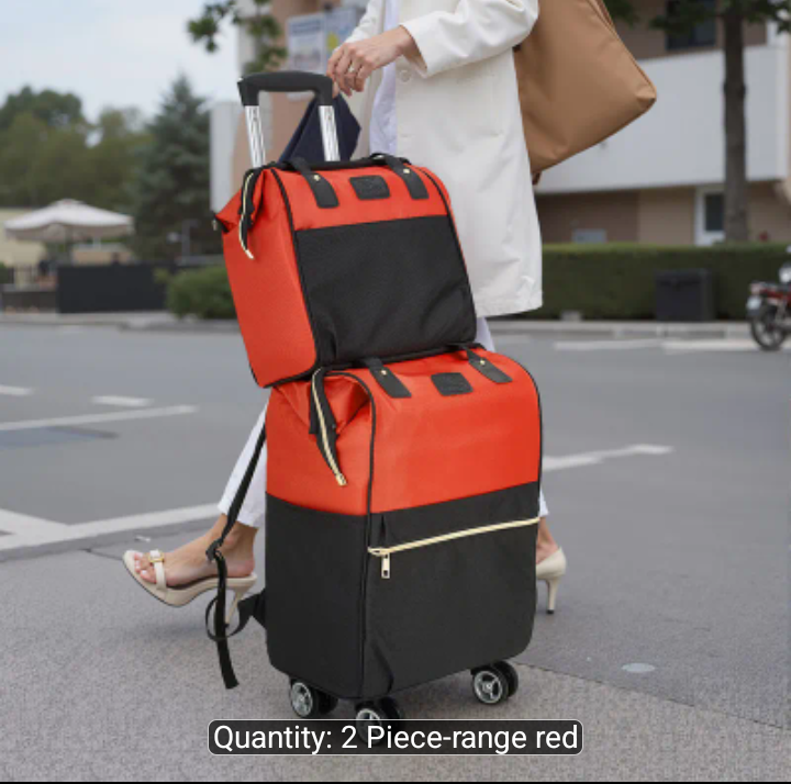 2 pc colour block spinner Luggage set