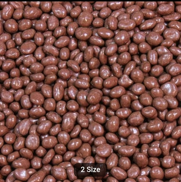 Chocolate Covered Raisins XL Bag