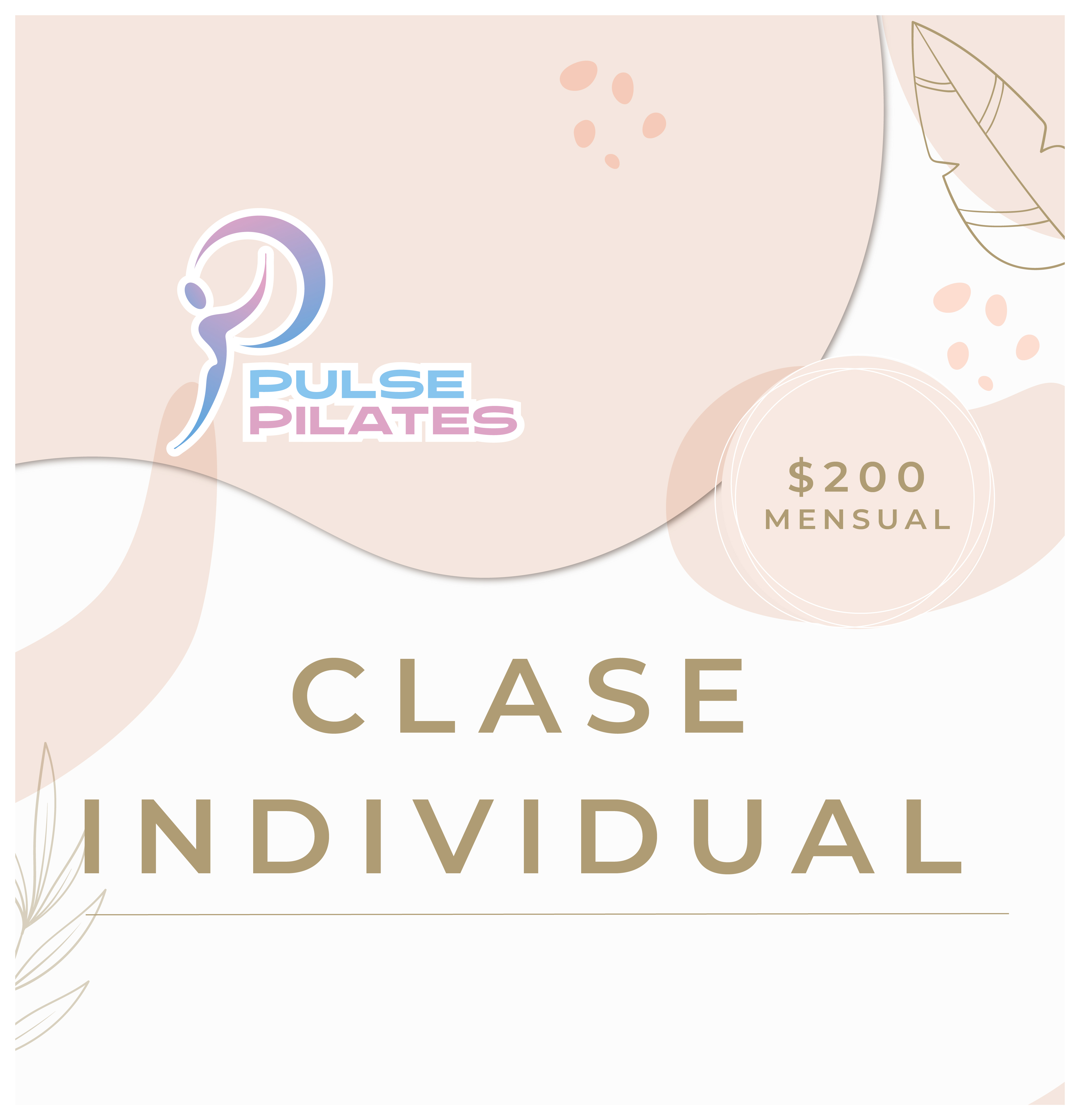 Clase Individual Pilse Pilates