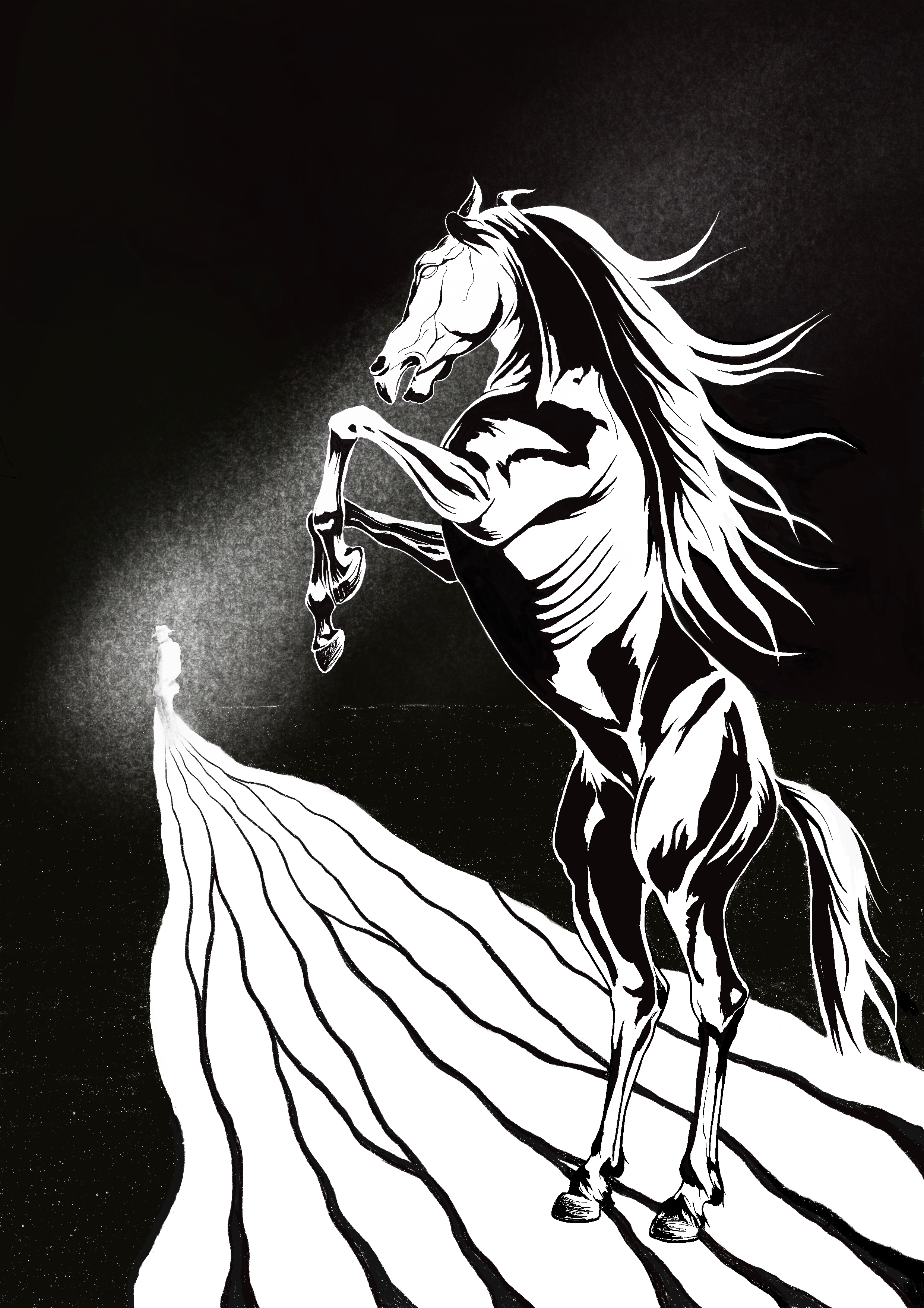 Black and White Horse Art Print